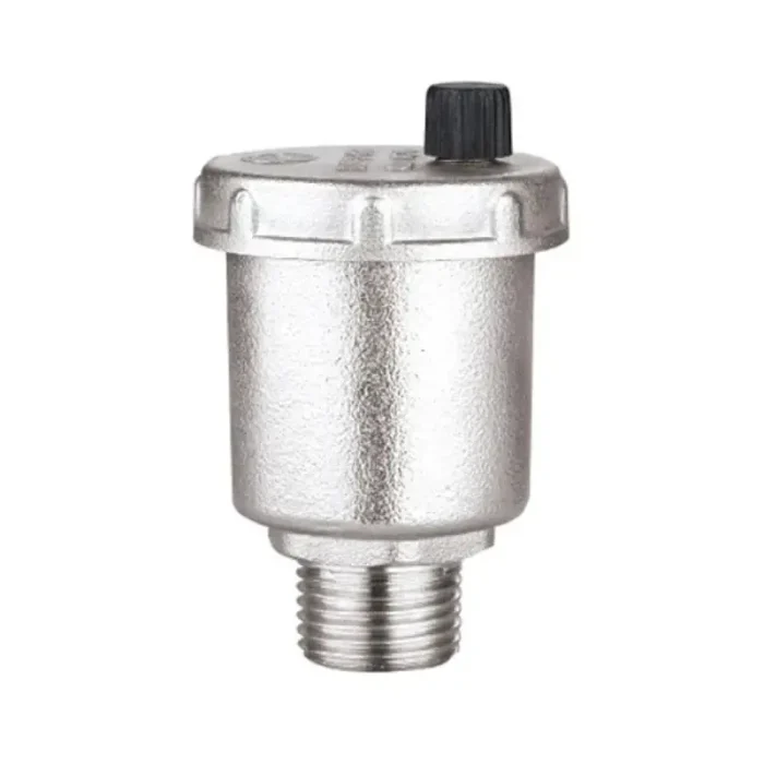 Van xả khí inox DN25